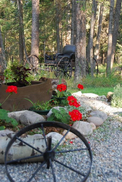 Kicking Horse Canyon Guest House Golden Ngoại thất bức ảnh