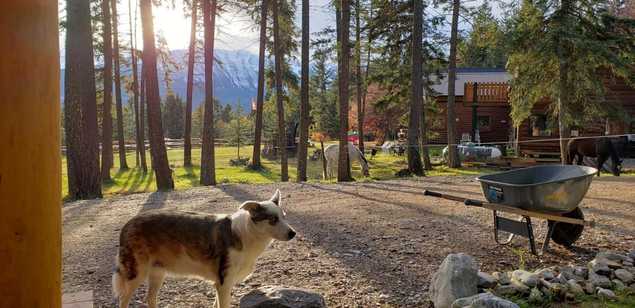 Kicking Horse Canyon Guest House Golden Ngoại thất bức ảnh